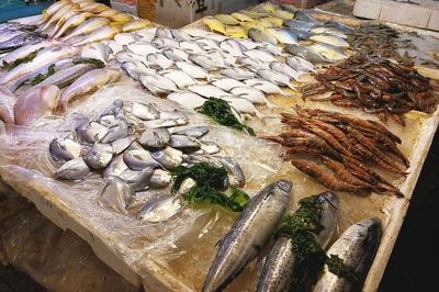 武夷山路海鮮市場(chǎng) 休漁期依舊琳瑯滿(mǎn)目，價(jià)格親民選擇多樣