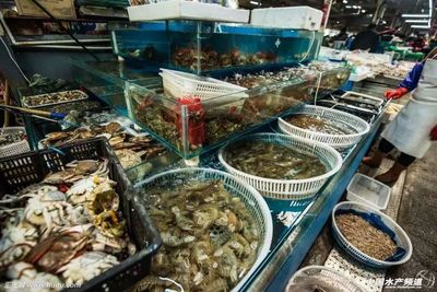 廣東多地海鮮檢出禁用藥物，愛(ài)吃魚(yú)蝦需警惕食品安全隱患