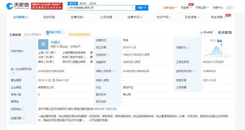 商務(wù)信息咨詢的核心價(jià)值與企業(yè)應(yīng)用